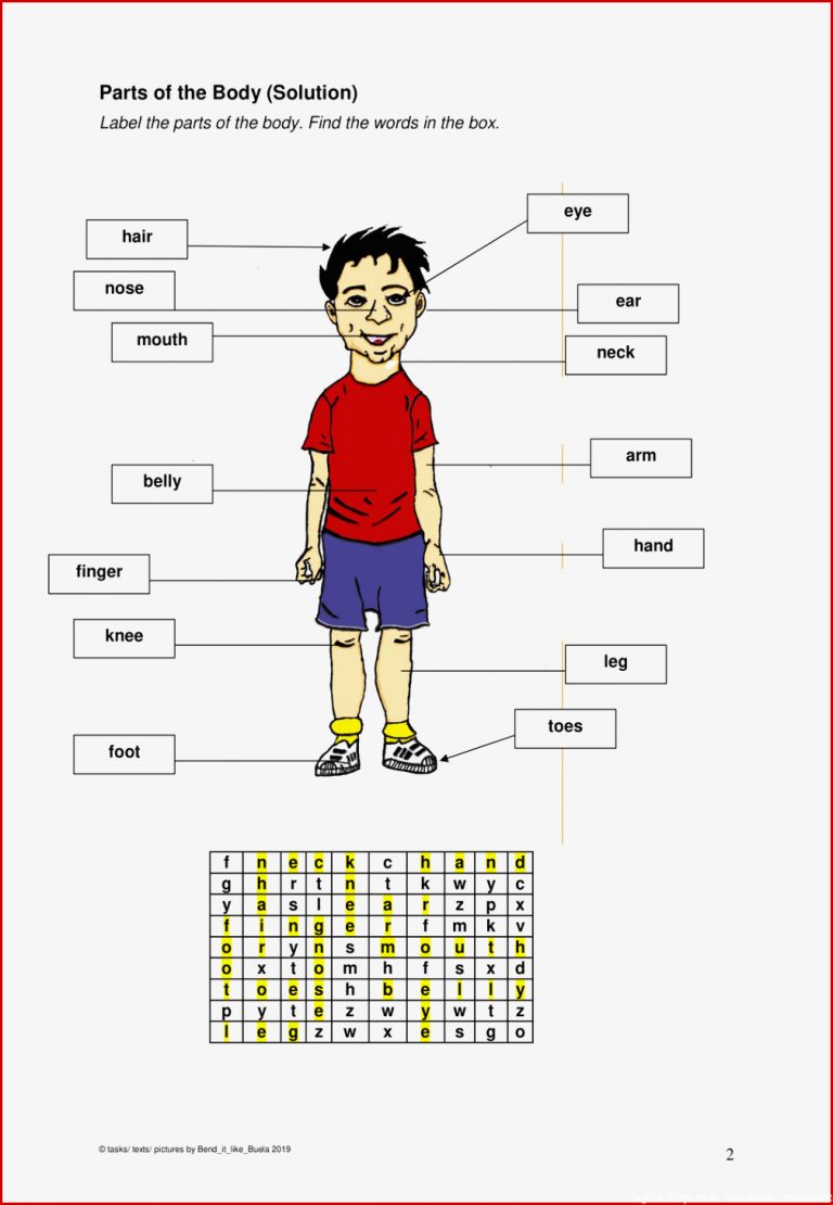 AB Parts of the Body Körperteile Englisch