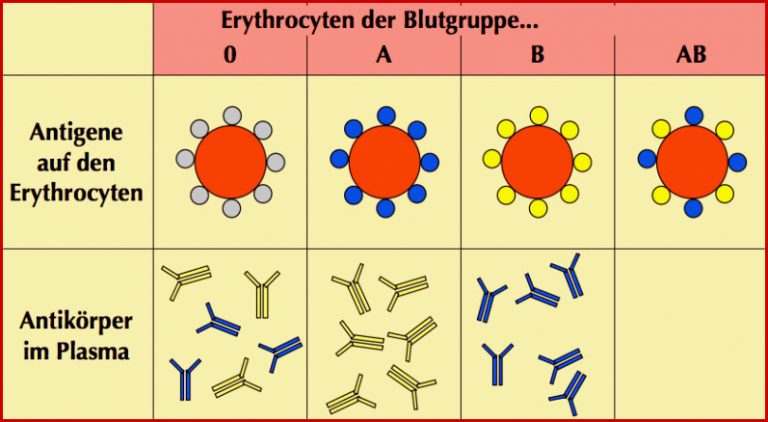 AB0-System