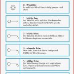 Abc Katze Wetterbeobachtungen Und Wettertagebuch