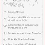 Abenteuer Im Wald – Unterrichtsmaterial In Den Fächern