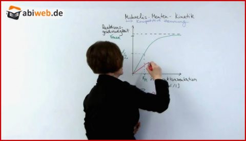 Abitur Grundlagen Biologie: Kompetitive Hemmung Einer ...