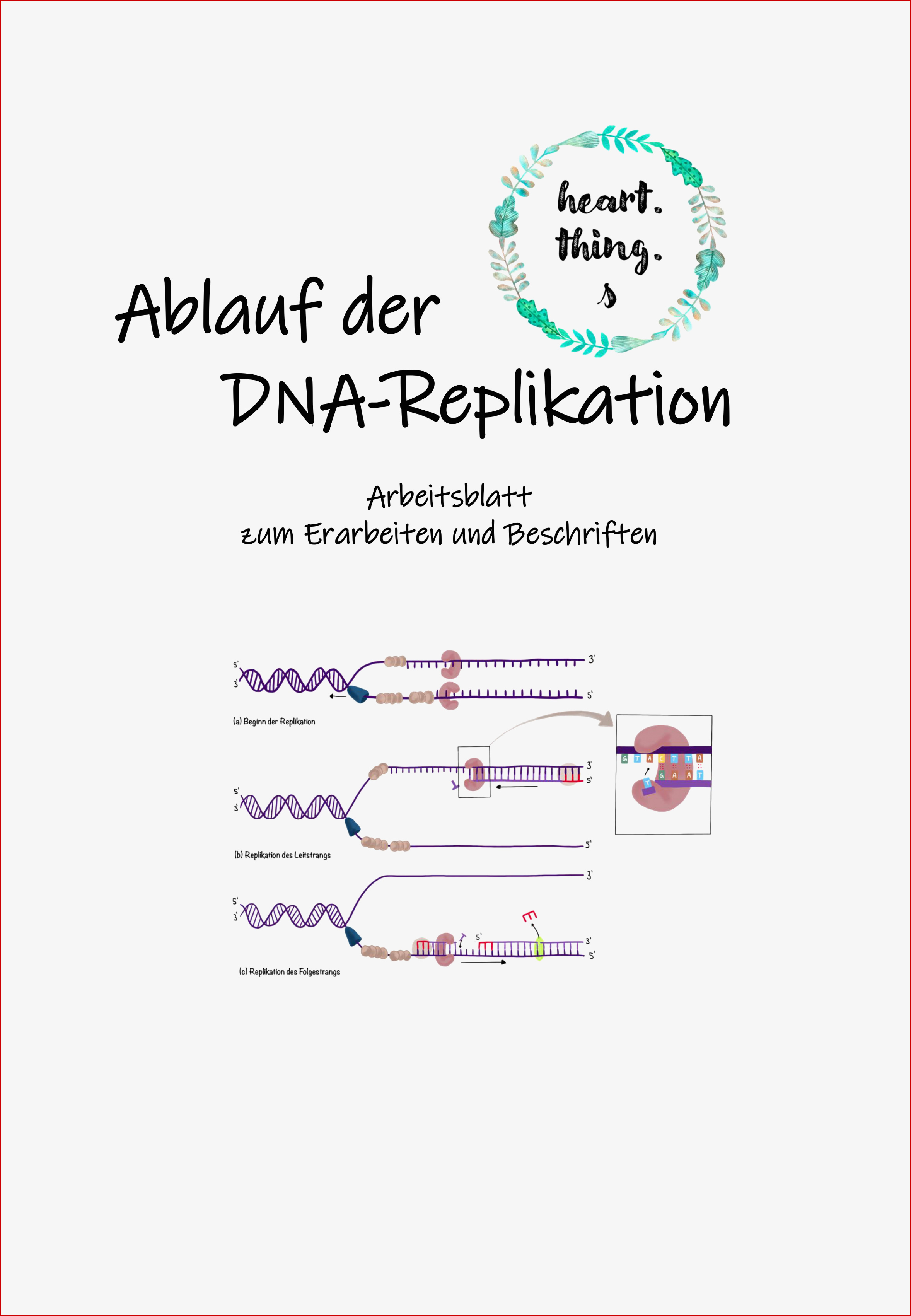 Ablauf Der Dna Replikation Leit Und Folgestrang