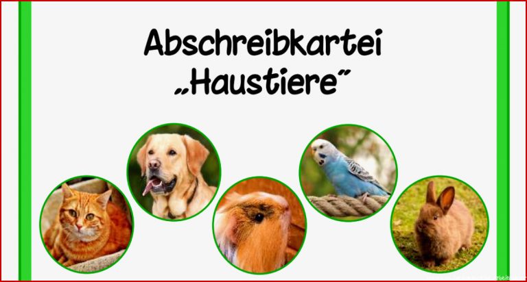 Abschreibkartei Haustiere Druckschrift Pdf