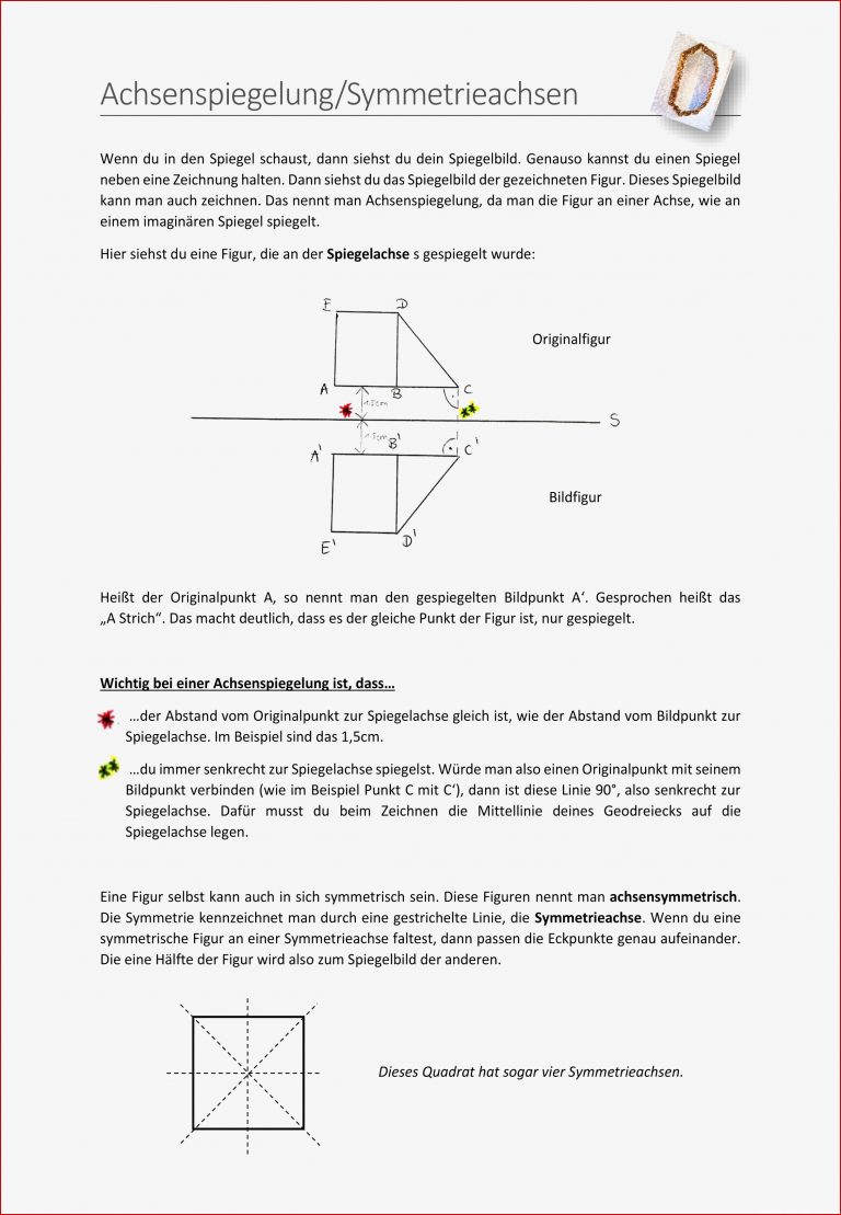 Achsensymmetrie 5 Klasse Arbeitsblätter Pdf Worksheets