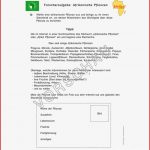 Afrika Werkstatt Für Grundschule