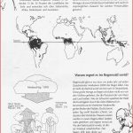 Agenda 21 Regenwald Artenschutz Unterricht Materialien