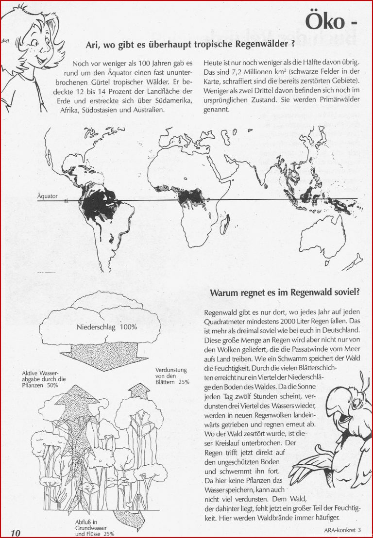 Agenda 21 Regenwald Artenschutz Unterricht Materialien