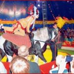 Aktuelles Mitteilungen Und Berichte 2011 Zirkuswoche