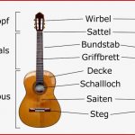 Akustik Gitarre Aufbau Und Funktion › Musikmachen