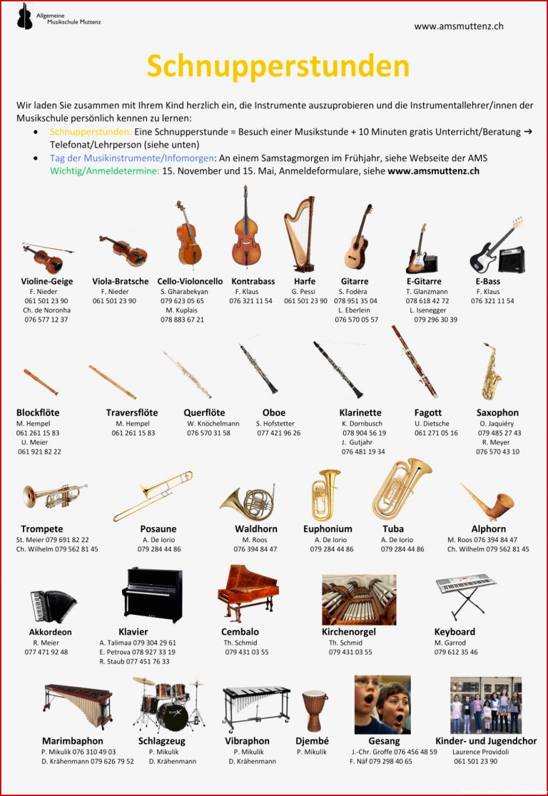 Allgemeine Musikschule Muttenz Instrumente