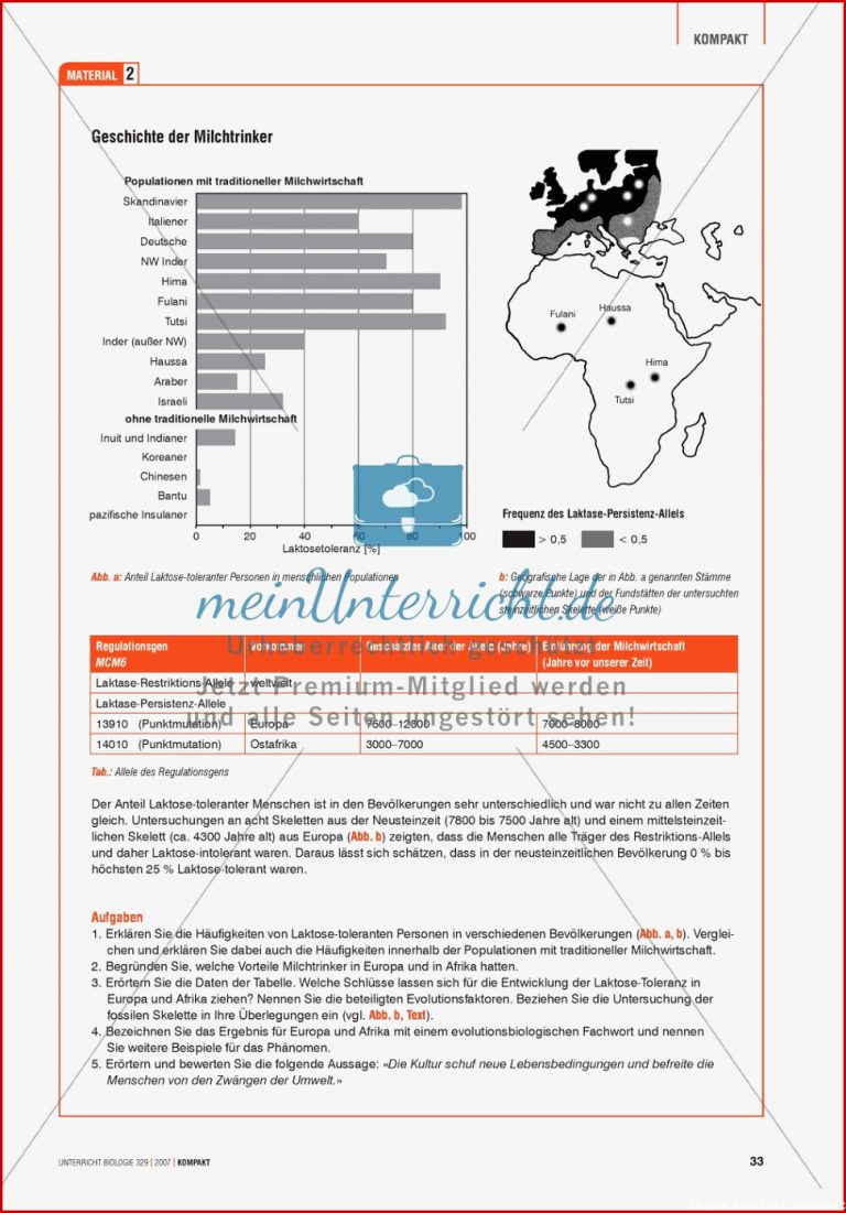 Alltagsvorstellungen zur Genetik Genfunktion