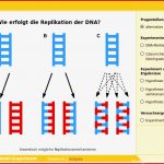 Am Puls Biologie