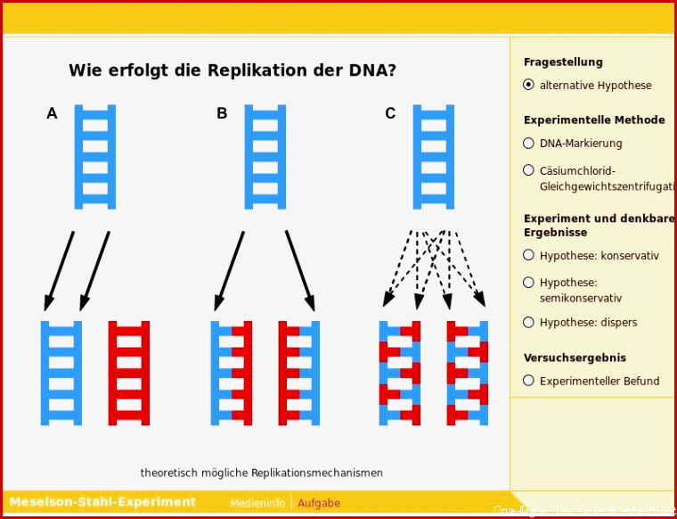 Am Puls Biologie