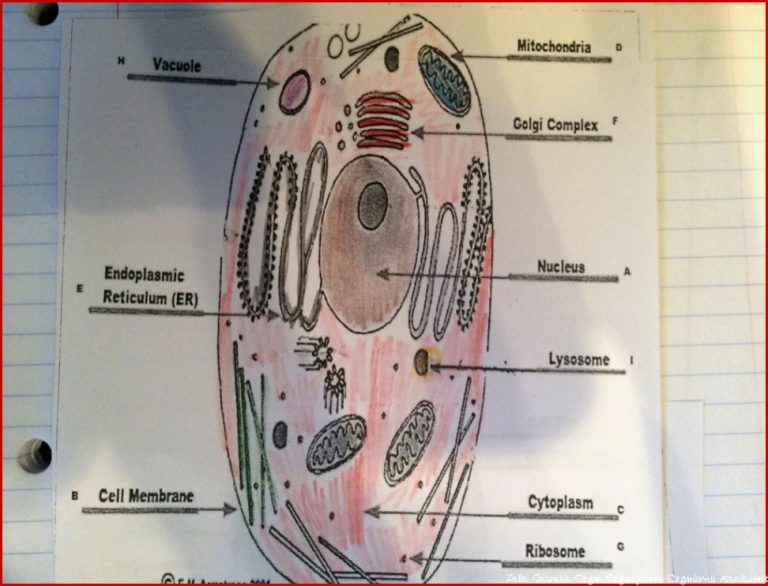 An Interactive Image