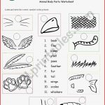 Animal Body Parts Esl Worksheet by Kaddaniels