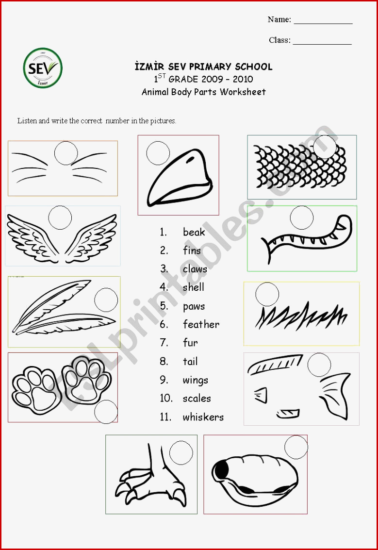 Animal Body Parts Esl Worksheet by Kaddaniels