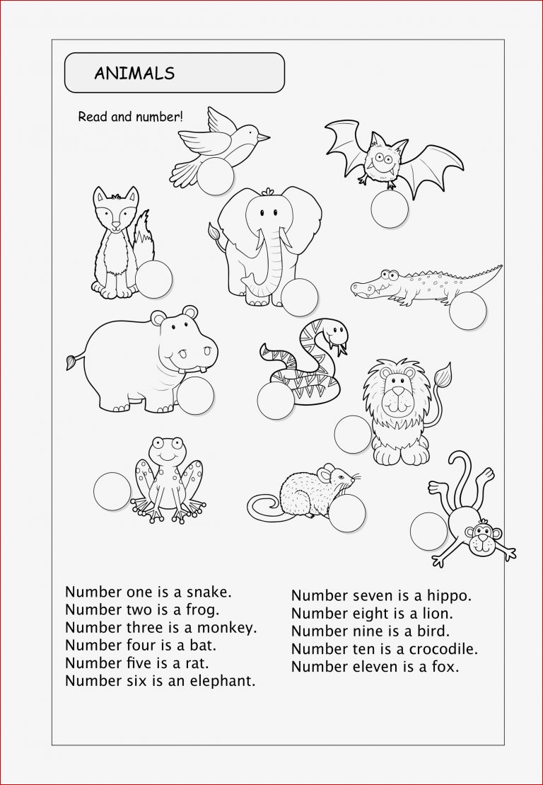 Animals Englisch Arbeitsblätter Grundschule Felipa Allen