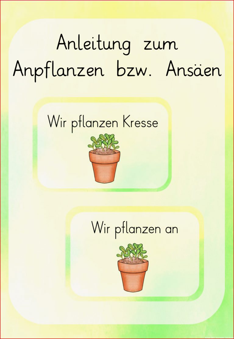 Anleitung Zum Anpflanzen Bzw Ansäen Von Pflanzen Kresse