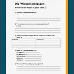 Anpassung Der Wirbeltiere