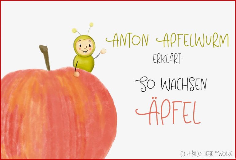 Anton Apfelwurm erklärt So wachsen Äpfel Lerngeschichte