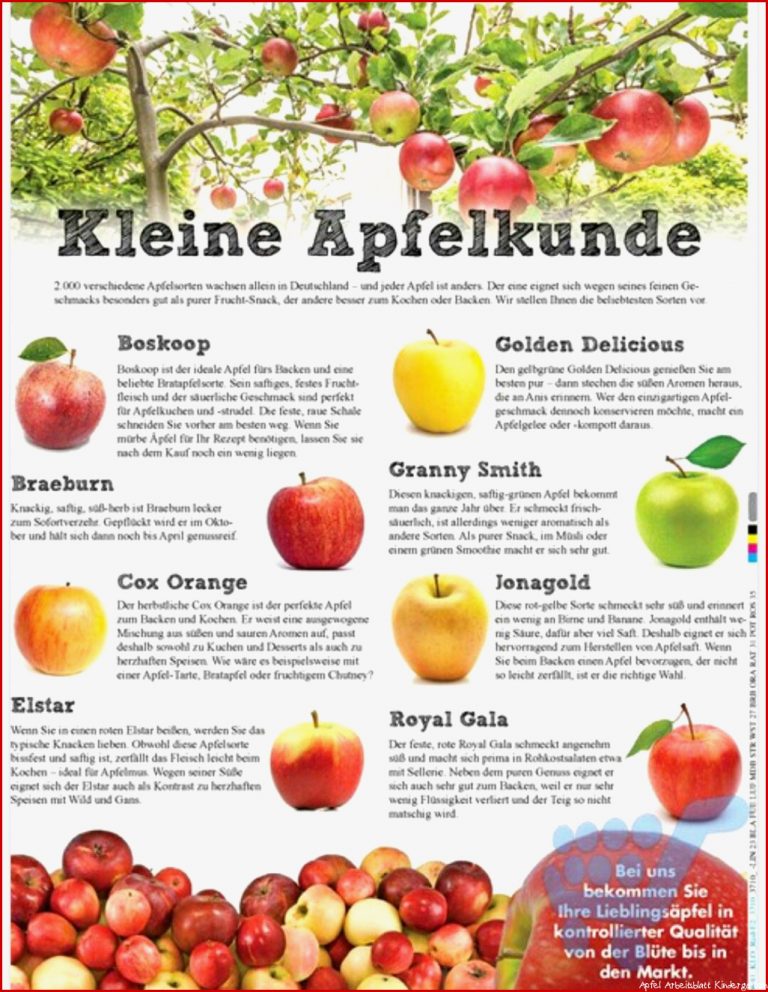 Apfelkuchen Apfelsorten