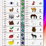Arabic Alphabet Color En