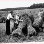 Arbeiten Inheckfeld