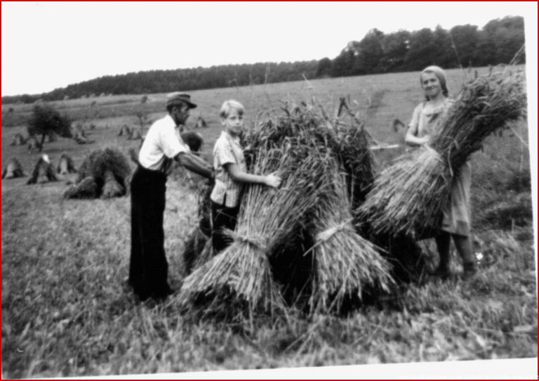 Arbeiten inHeckfeld