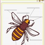 Arbeitsblätter Bienen Kostenlos Worksheets