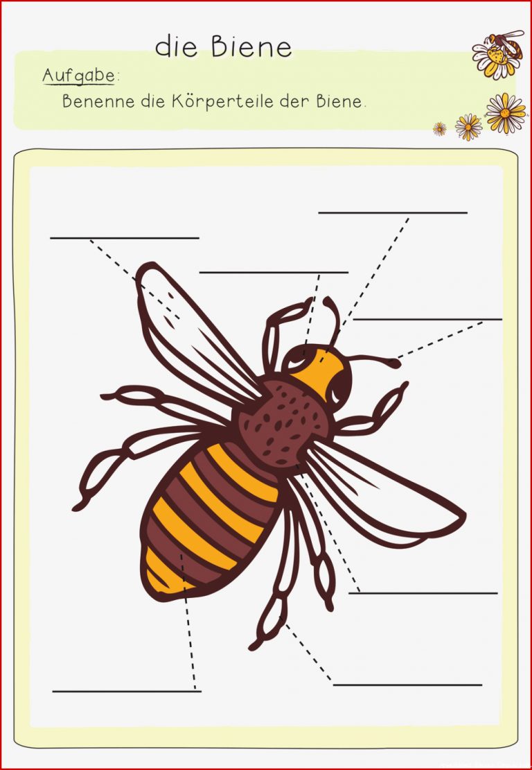 Arbeitsblätter Bienen Kostenlos Worksheets