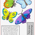 Arbeitsblätter Biologie Insekten Klett Lösungen Vincent