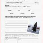 Arbeitsblätter Biologie Klasse 5 Lurche Worksheets