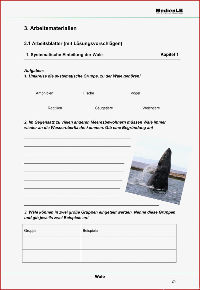 Arbeitsblätter Biologie Klasse 5 Lurche Worksheets