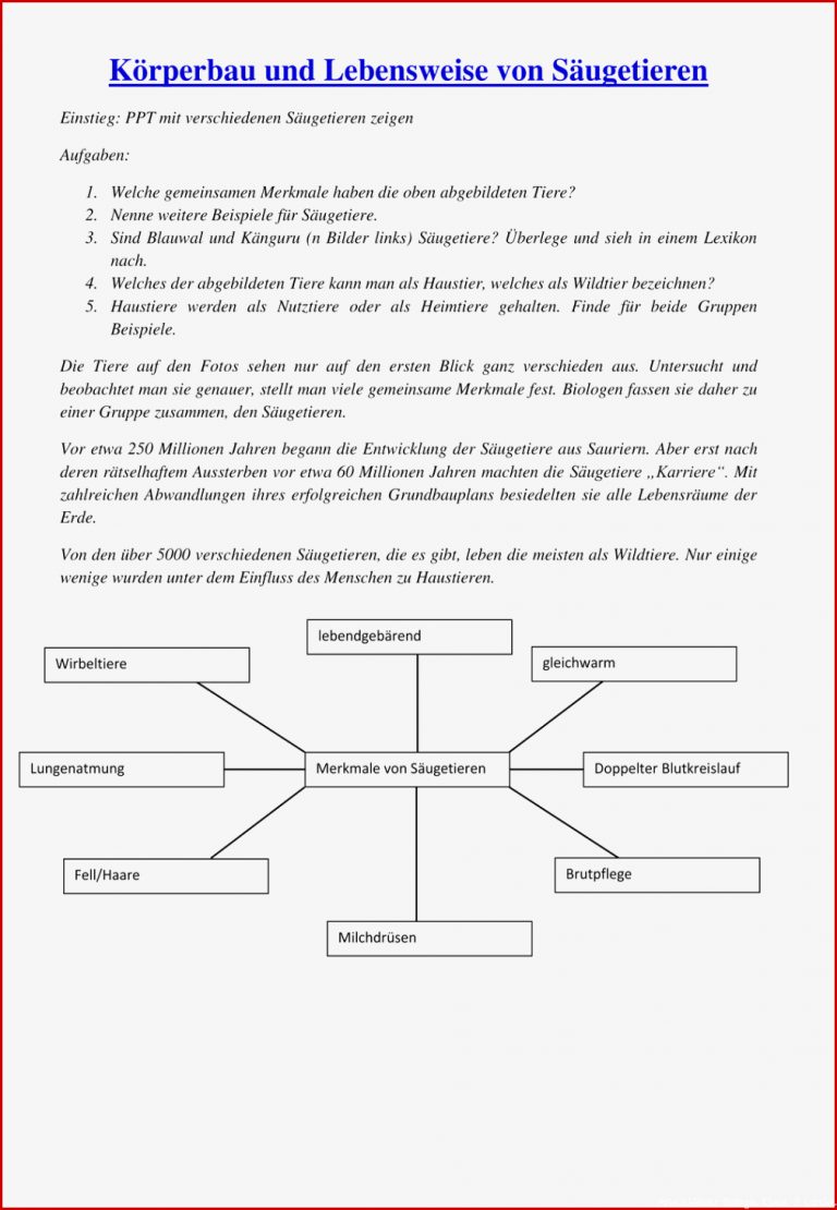 Arbeitsblätter Biologie Klasse 5 Lurche Worksheets