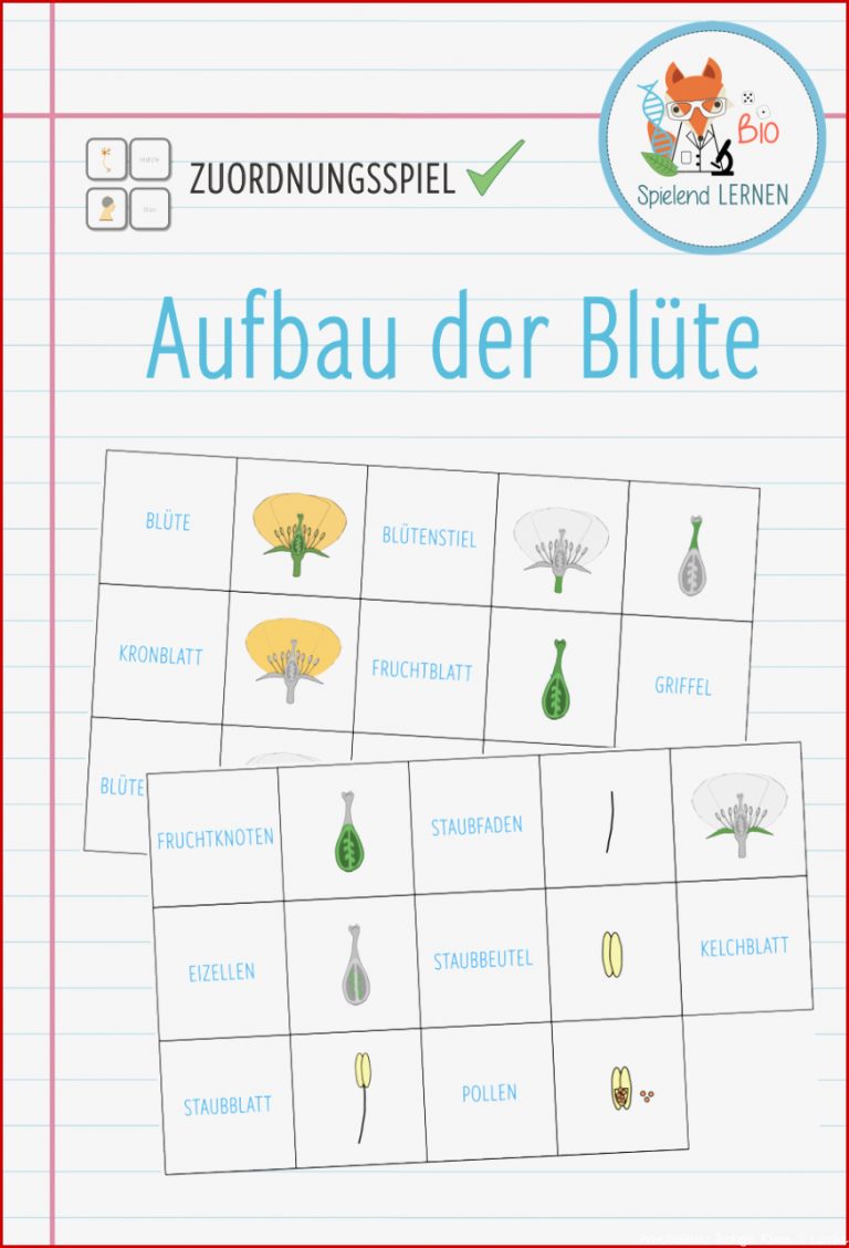 Arbeitsblätter Biologie Klasse 5 Lurche Worksheets