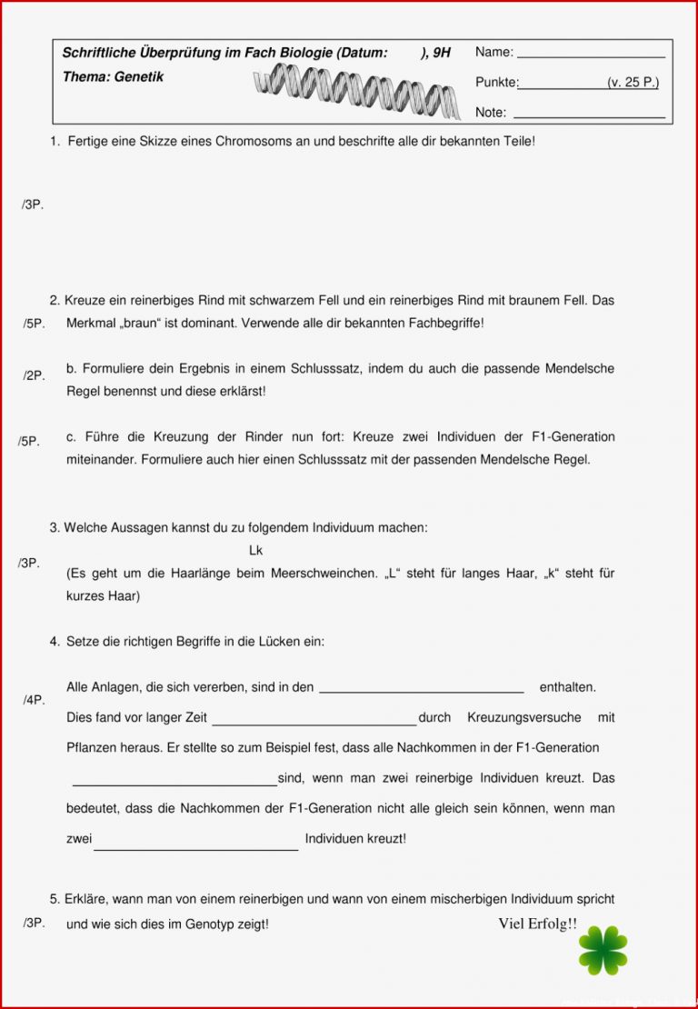 Arbeitsblätter Biologie Klasse 5 Rind Worksheets