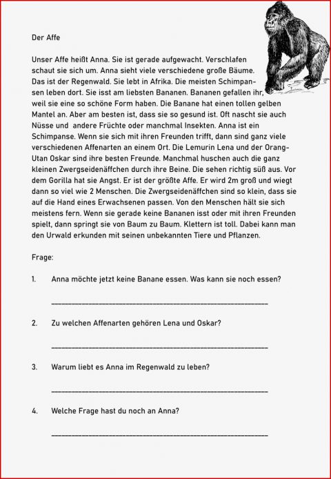 Arbeitsblätter Biologie Klasse 5 Rind Worksheets