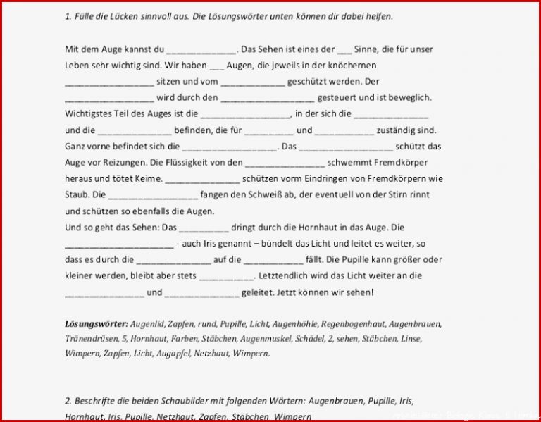 Arbeitsblätter Biologie Klasse 5 Worksheets