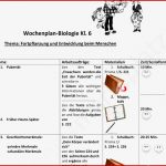 Arbeitsblätter Biologie Klasse 6 Kostenlos Worksheets