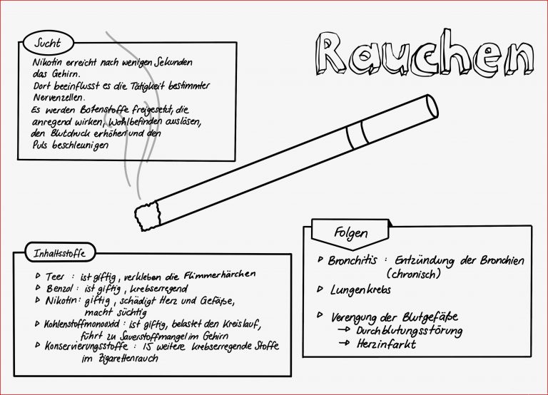 Arbeitsblätter Biologie Klasse 7 Kostenlos Worksheets