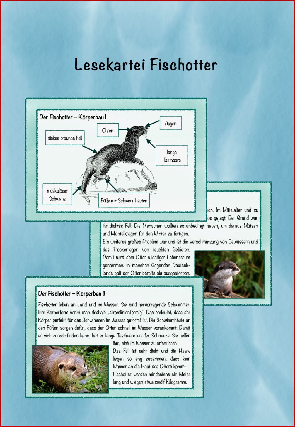 Arbeitsblätter Biologie Maulwurf Arbeitsblatt Dorothy