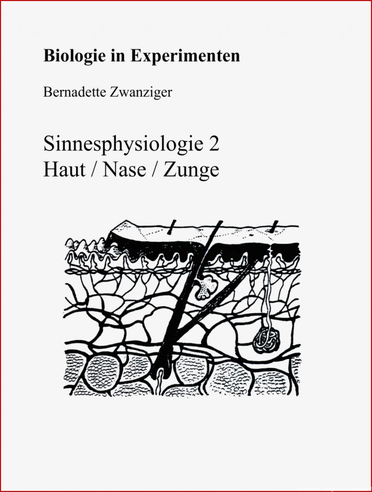 Arbeitsblätter Biologie Menschenkunde 2 Worksheets