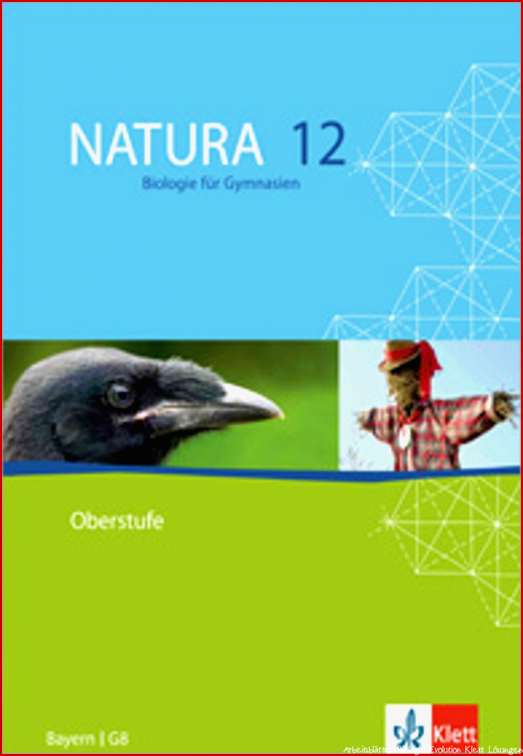 Arbeitsblätter Biologie Vögel Klett Lösungen Worksheets