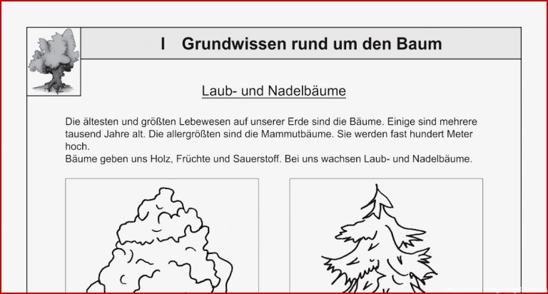 Arbeitsblätter Biologie Vögel Kostenlos Tim Kane Schule