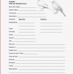 Arbeitsblätter Biologie Vögel Kostenlos Worksheets