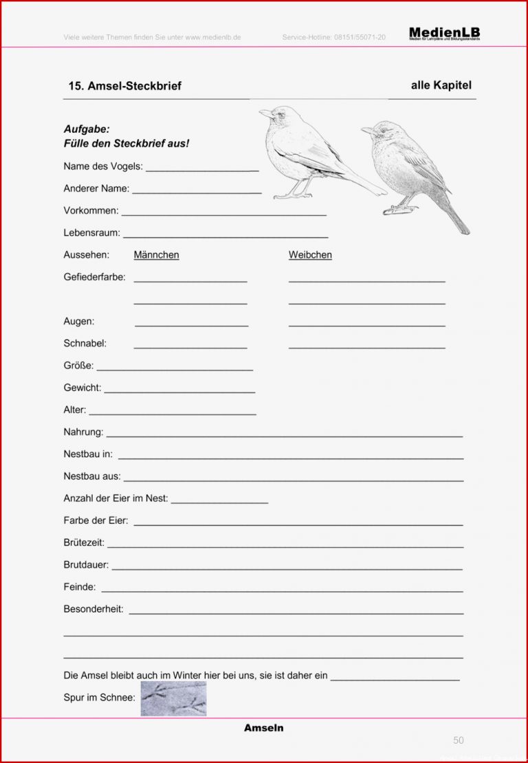 Arbeitsblätter Biologie Vögel Kostenlos Worksheets