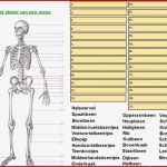 Arbeitsblätter Der Menschliche Körper Worksheets