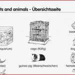 Arbeitsblätter Englisch 5 Klasse Englisch Vokabeln 5