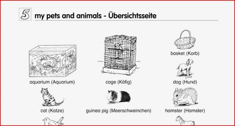 Arbeitsblätter Englisch 5 Klasse Englisch Vokabeln 5