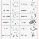 Arbeitsblätter Grundschule Grundschule Deutsch Unterricht